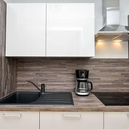 Luxury Arta Apartment